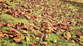 結婚記念日の2日後