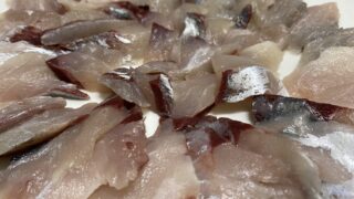 １号、アジ最高‼️