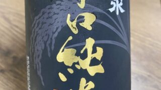 釜揚げうどんと恵比寿ビール。