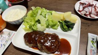 ハンバーグとタコ刺しとハイボール