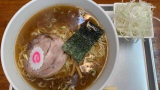 中華麺、ネギトッピング。