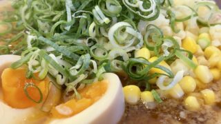 ミソ全部のせ、ネギ、ニンニク自己マシマシ