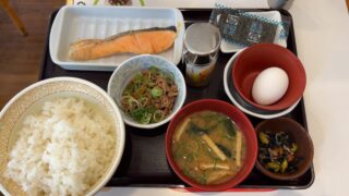 早川で、いつものすき家。