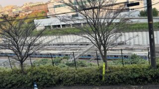 高清水　辛口純米