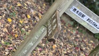 呑ミ足リテ味ヲ知ル