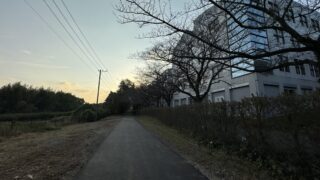 魚沼産こしひかり