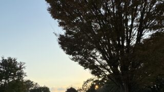 天の戸　亀ノ尾