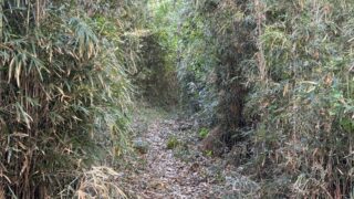 すっきり辛口　純米吟醸