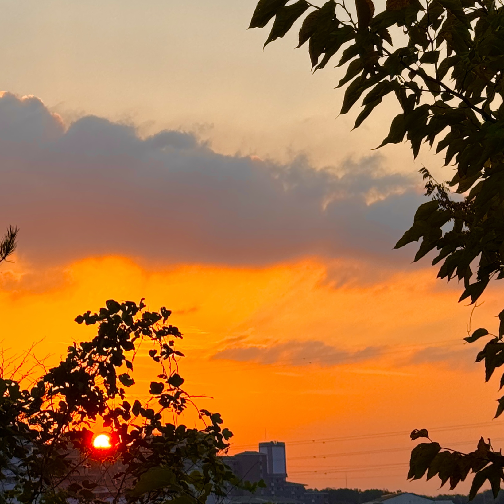 大晦日の夕飯、写真撮り忘れ〜
